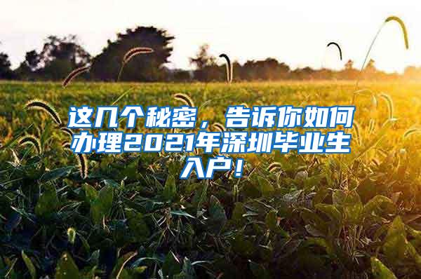 这几个秘密，告诉你如何办理2021年深圳毕业生入户！