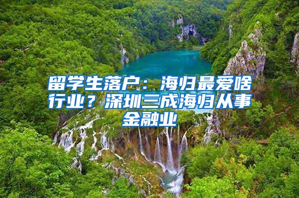 留学生落户：海归最爱啥行业？深圳三成海归从事金融业