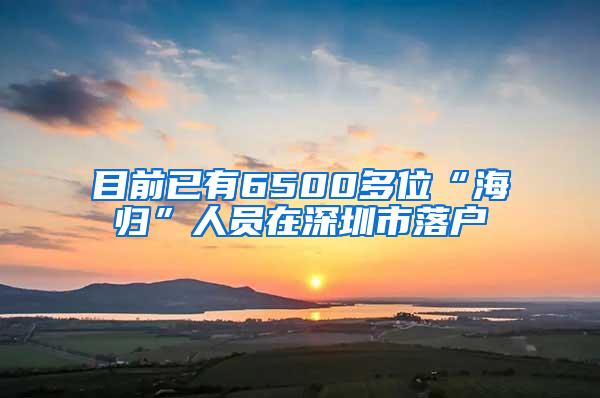 目前已有6500多位“海归”人员在深圳市落户