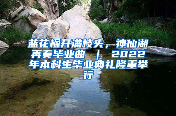 蓝花楹开满枝头，神仙湖再奏毕业曲 ｜ 2022年本科生毕业典礼隆重举行