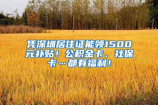 凭深圳居住证能领1500元补贴！公积金卡、社保卡…都有福利！