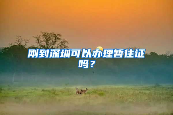 刚到深圳可以办理暂住证吗？