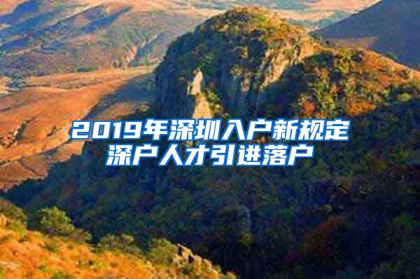 2019年深圳入户新规定深户人才引进落户