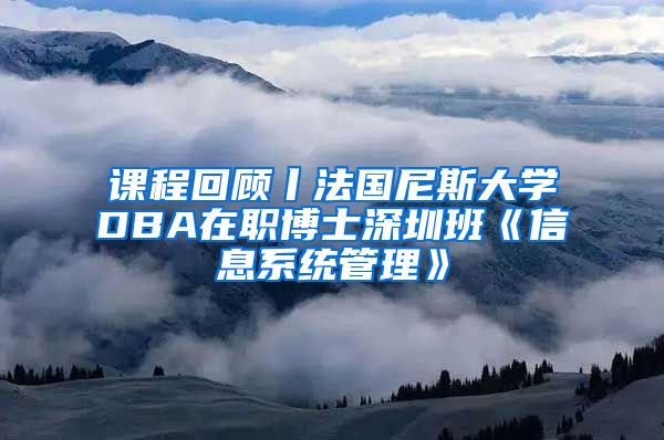 课程回顾丨法国尼斯大学DBA在职博士深圳班《信息系统管理》