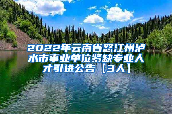 2022年云南省怒江州泸水市事业单位紧缺专业人才引进公告【3人】