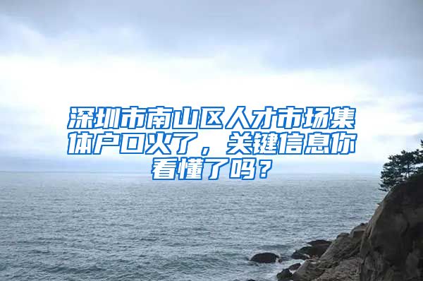 深圳市南山区人才市场集体户口火了，关键信息你看懂了吗？