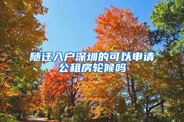 随迁入户深圳的可以申请公租房轮候吗