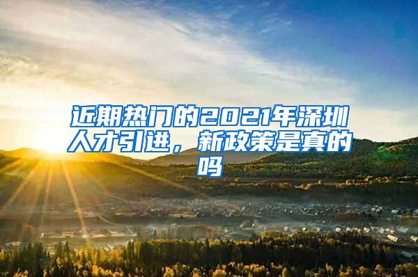 近期热门的2021年深圳人才引进，新政策是真的吗