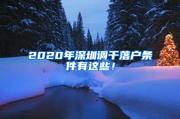 2020年深圳调干落户条件有这些！