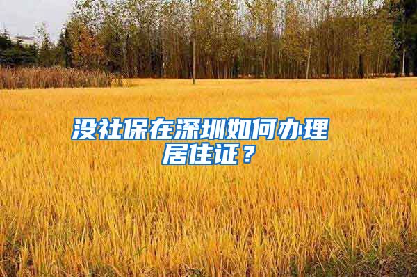 没社保在深圳如何办理 居住证？