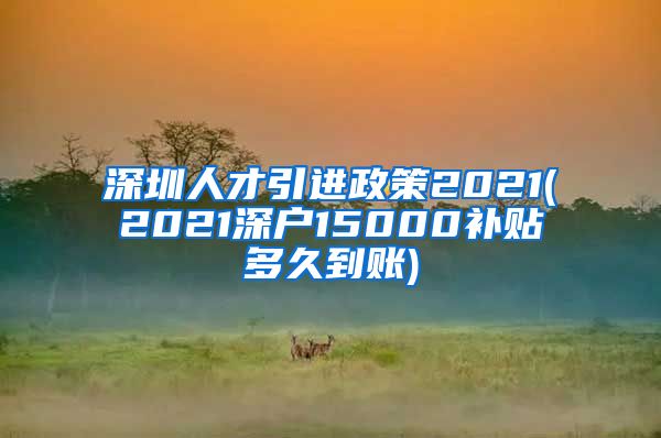 深圳人才引进政策2021(2021深户15000补贴多久到账)