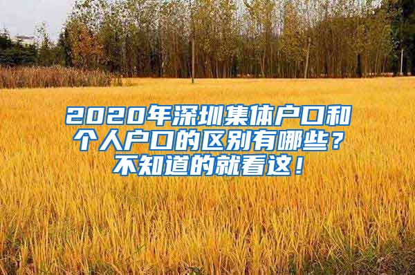 2020年深圳集体户口和个人户口的区别有哪些？不知道的就看这！