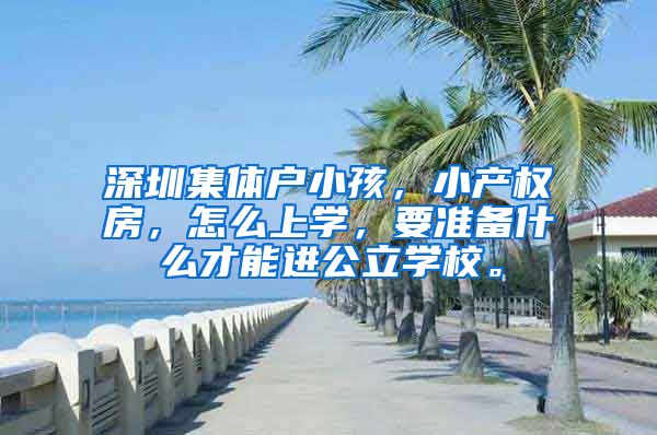 深圳集体户小孩，小产权房，怎么上学，要准备什么才能进公立学校。