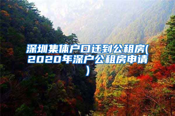 深圳集体户口迁到公租房(2020年深户公租房申请)