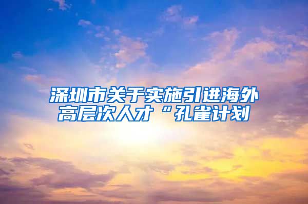 深圳市关于实施引进海外高层次人才“孔雀计划