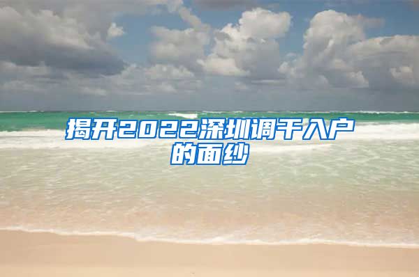 揭开2022深圳调干入户的面纱