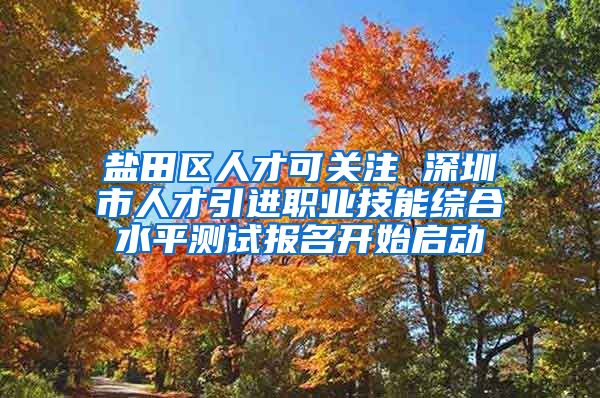 盐田区人才可关注 深圳市人才引进职业技能综合水平测试报名开始启动