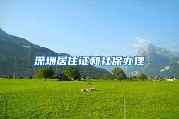 深圳居住证和社保办理