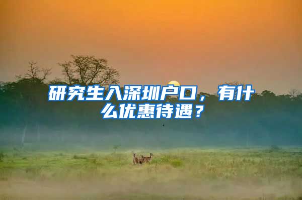 研究生入深圳户口，有什么优惠待遇？