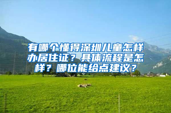 有哪个懂得深圳儿童怎样办居住证？具体流程是怎样？哪位能给点建议？