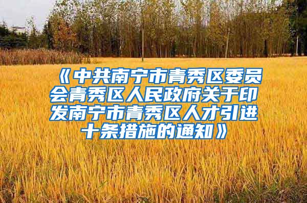 《中共南宁市青秀区委员会青秀区人民政府关于印发南宁市青秀区人才引进十条措施的通知》