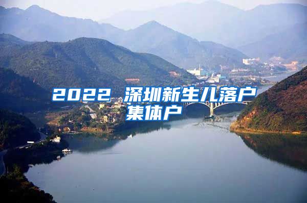 2022 深圳新生儿落户集体户