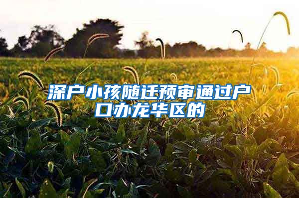 深户小孩随迁预审通过户口办龙华区的