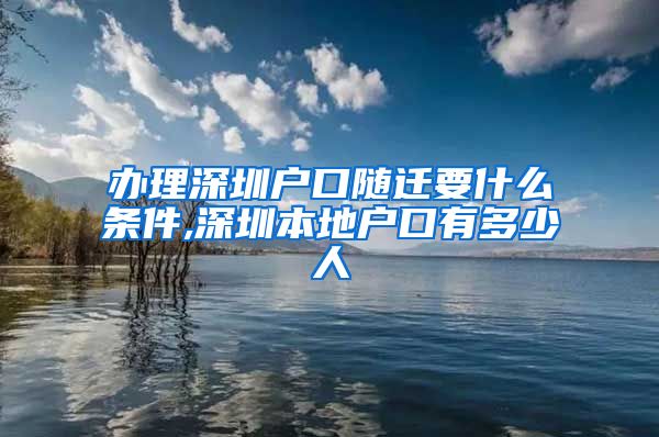 办理深圳户口随迁要什么条件,深圳本地户口有多少人