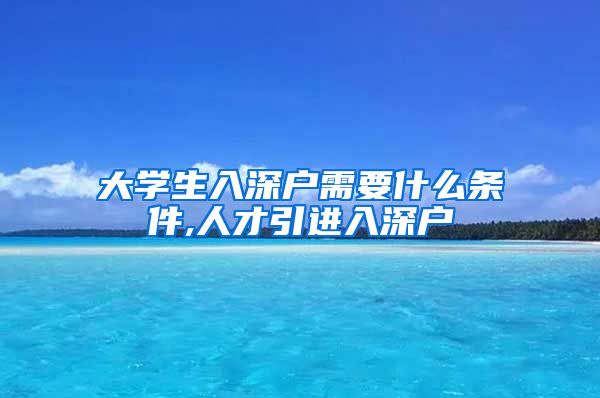 大学生入深户需要什么条件,人才引进入深户