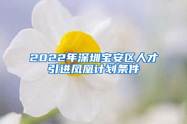 2022年深圳宝安区人才引进凤凰计划条件