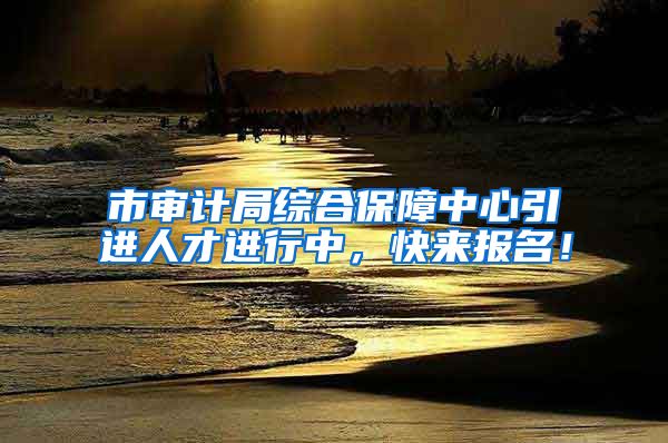 市审计局综合保障中心引进人才进行中，快来报名！