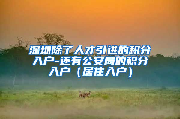 深圳除了人才引进的积分入户-还有公安局的积分入户（居住入户）