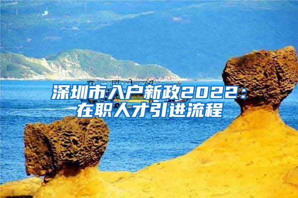 深圳市入户新政2022：在职人才引进流程