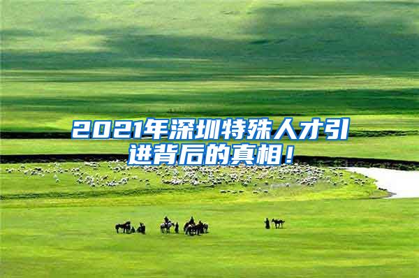 2021年深圳特殊人才引进背后的真相！