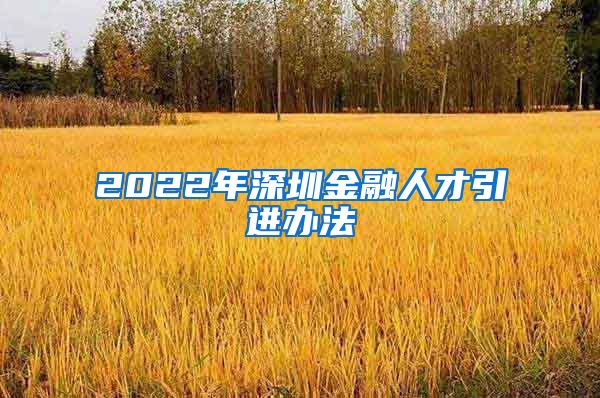 2022年深圳金融人才引进办法