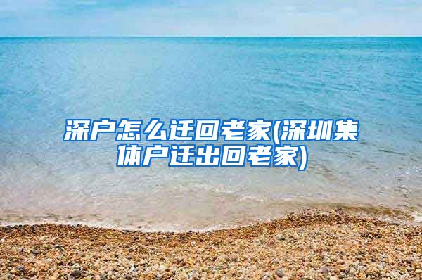 深户怎么迁回老家(深圳集体户迁出回老家)