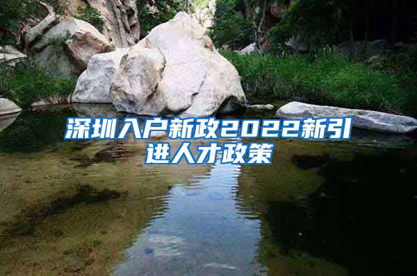 深圳入户新政2022新引进人才政策