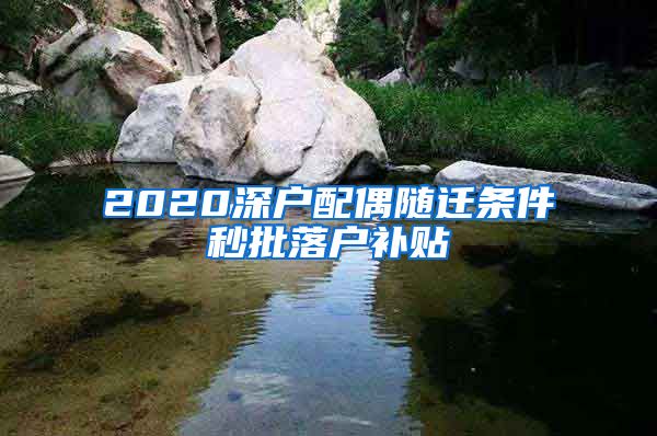 2020深户配偶随迁条件秒批落户补贴