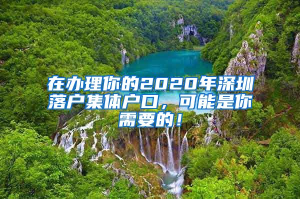 在办理你的2020年深圳落户集体户口，可能是你需要的！