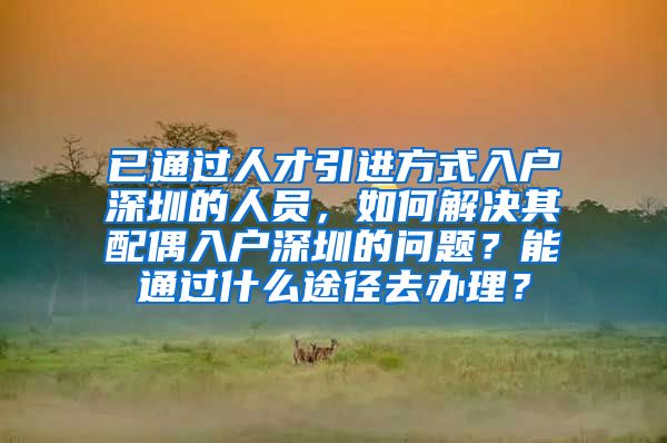 已通过人才引进方式入户深圳的人员，如何解决其配偶入户深圳的问题？能通过什么途径去办理？