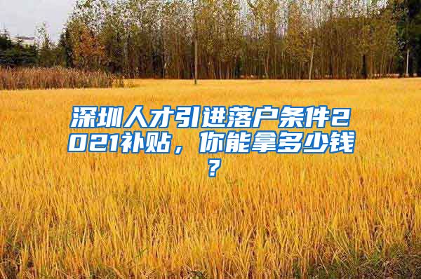 深圳人才引进落户条件2021补贴，你能拿多少钱？