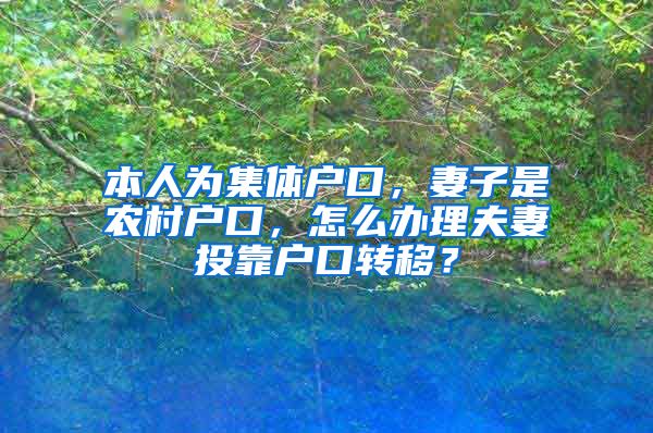 本人为集体户口，妻子是农村户口，怎么办理夫妻投靠户口转移？