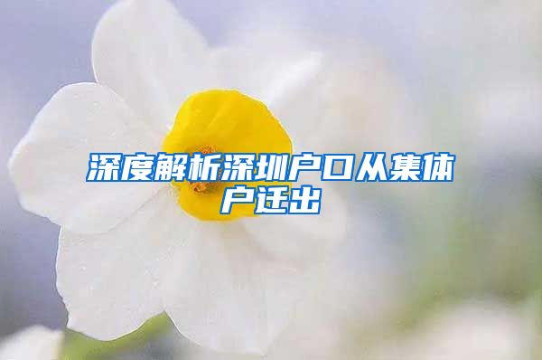 深度解析深圳户口从集体户迁出