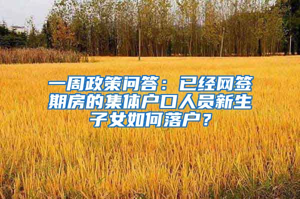 一周政策问答：已经网签期房的集体户口人员新生子女如何落户？