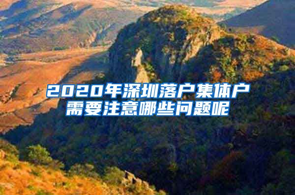 2020年深圳落户集体户需要注意哪些问题呢