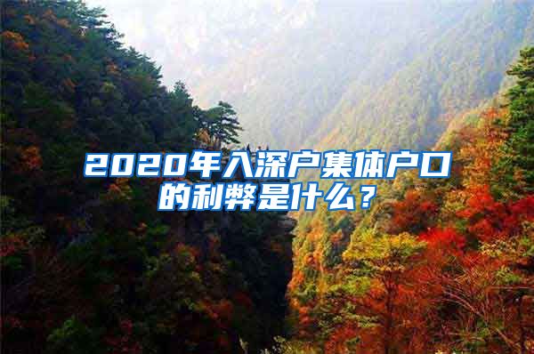 2020年入深户集体户口的利弊是什么？