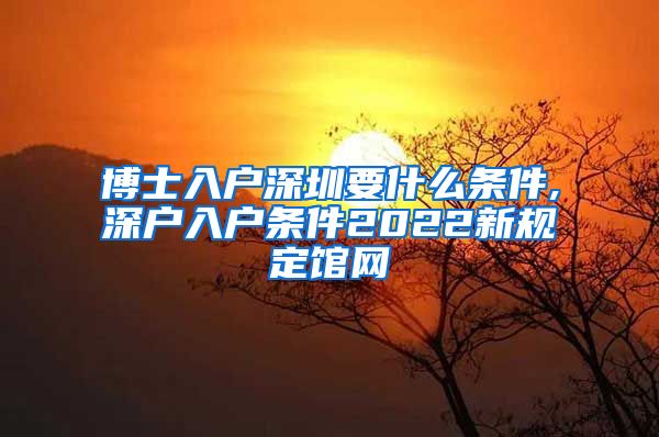 博士入户深圳要什么条件,深户入户条件2022新规定馆网