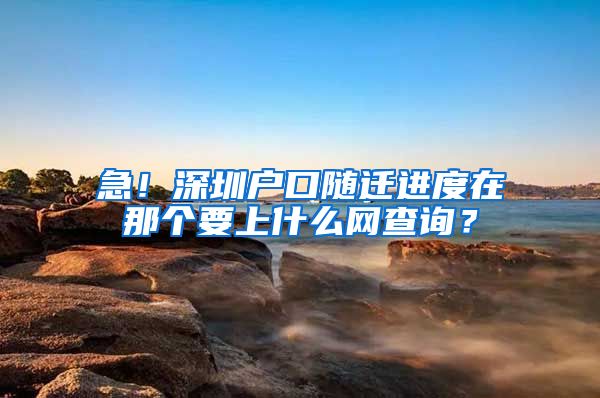 急！深圳户口随迁进度在那个要上什么网查询？