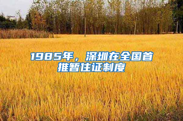 1985年，深圳在全国首推暂住证制度