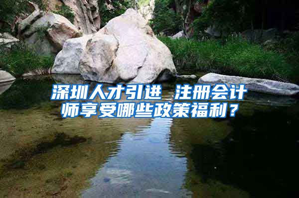 深圳人才引进 注册会计师享受哪些政策福利？